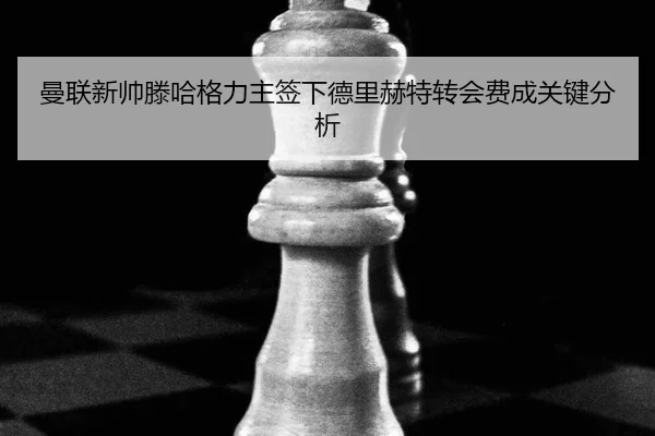 man-lian-xin-shuai-teng-ha-ge-li-zhu-qian-xia-de-li-he-te-zhuan-hui-fei-cheng-guan-jian-fen-xi-2-653.jpg